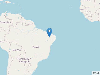 Locations where Irritator fossils were found.